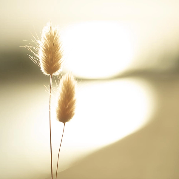 Business Shooting Hamburg