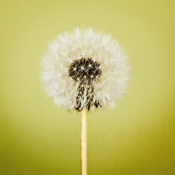 Business Shooting Hamburg