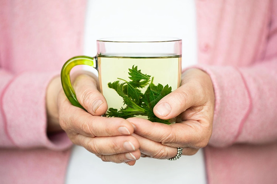 Nina Gruetzmacher - Insights Naturkosmetik